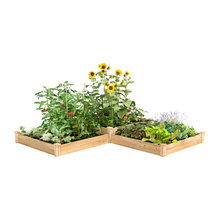 Landscape Ideas