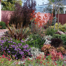 med garden