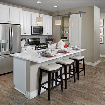Coral model home in Arizona