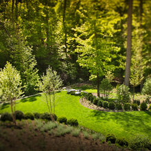 WOODED LOT