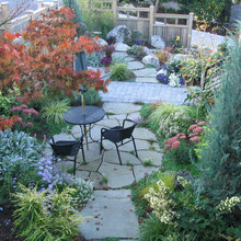 front yard