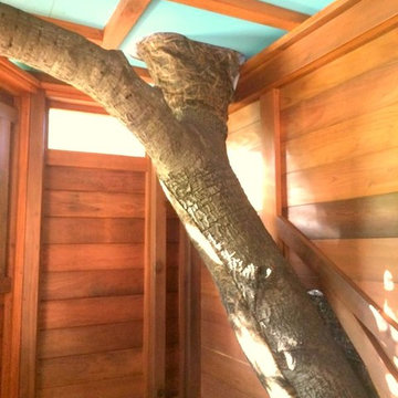 Redwood Temple Treehouse