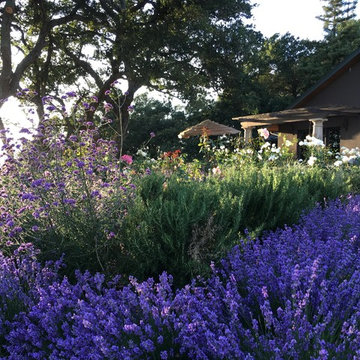 Napa Valley vineyard overlook home and garden
