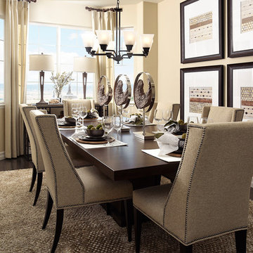 Delaney model home in Colorado
