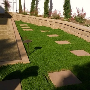Carlsbad Bocce Ball and Kurapia Lawn