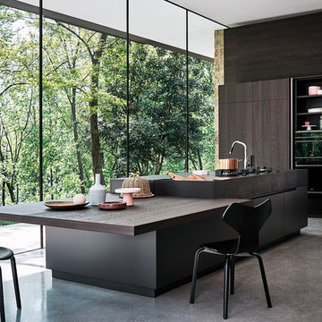 Cesar MAXIMA Kitchen - Thermally Treated Oak & Titanium Silk Matt lacquer
