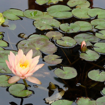Water Garden Retreat
