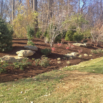 Fall Landscape Buffer Planting