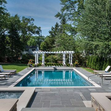 Glen Ellyn Swimming Pool, Spa Inside Pool, Pergola