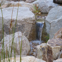 Water feature garden