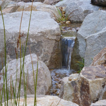 Upwey rocky stream