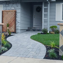 Frontyard