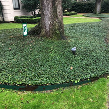 2606 Landscaping