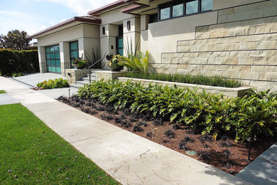 Inspiration for a mid-sized contemporary full sun front yard stone garden path in Orange County for summer.