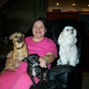 Sally Bonnlander's photo