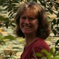Ellen Sousa/Turkey Hill Brook Farm's profile photo