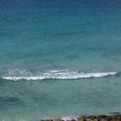 Bill Raucci's photo