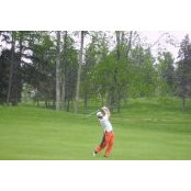 Justin Petty's photo