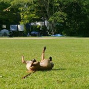 Foto von Griffen Fargo