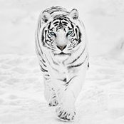 Алексей Котковさんの写真