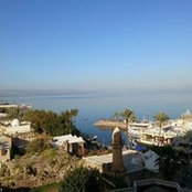 Lea Farkash's photo