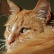 Michelle Velarde's photo