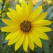 Michelle Martin's photo