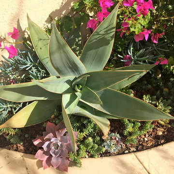 Spanish Style Meets California Friendly