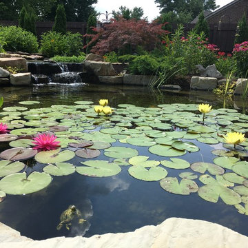Residential Oasis - Water feature, waterfall, pergolas and more