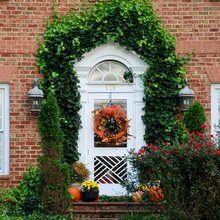 Glorious Autumn