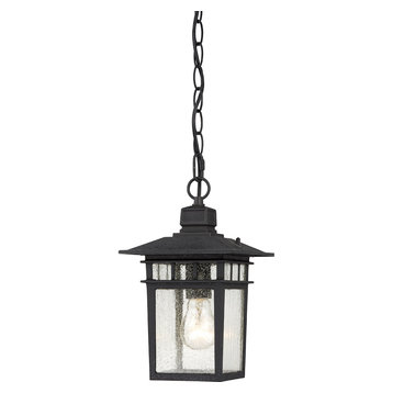 Nuvo Cove Neck 1-Light 12" Hanging Light w/ Clear Seeded Glass in Textured