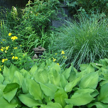 The causal elegant garden in CT