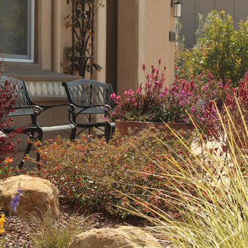 Arresting Dunes - Coastal Gem Garden