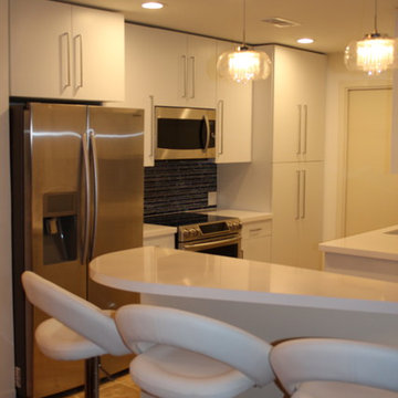 Four Leaf Kitchen Remodel
