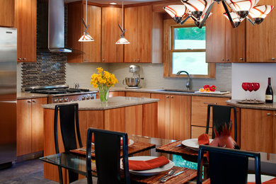 Kitchen - contemporary kitchen idea in St Louis