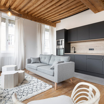 Renovation compete d'un appartement canut