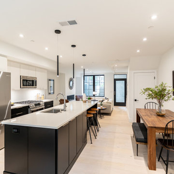 Southwest DC Duplex Renovation
