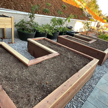 Xeriscape & Native Garden with Waterfall