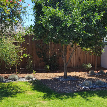 Encino Mid-Century Modern