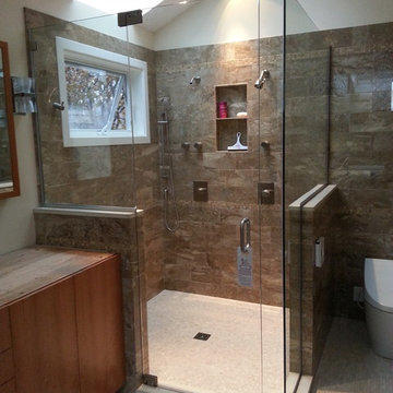frameless shower doors