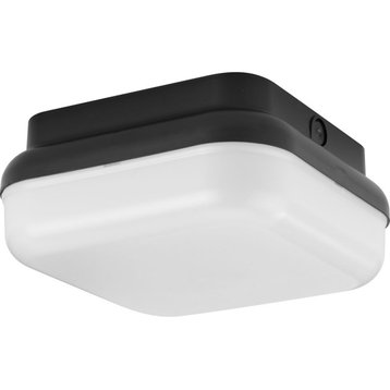 Hard-Nox Collection 1-Light Black Polycarbonate Shade Outdoor Wall Or Ceiling