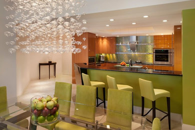 Inspiration for a transitional dining room remodel in Miami