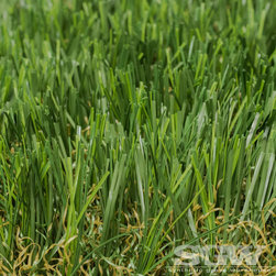 Marquee Natural - Products