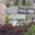 CAPITAL ROCK WALLS & EXCAVATION