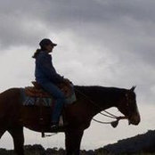 Susan Neubert's photo