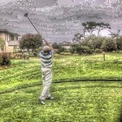 Mark Risso's photo