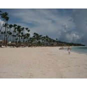 Ann Fuscaldo's photo