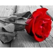 Qāf Jaruls foto