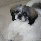 Verla Nickerson's photo