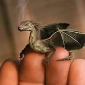 Vicky Stearns's photo